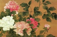 清马逸－国色天香图